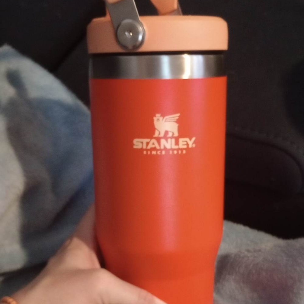 Stanley Ice Flow
